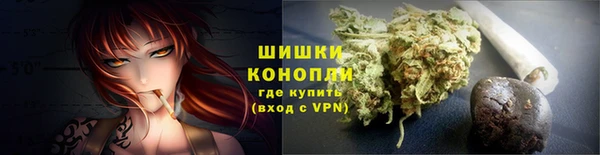 прущие крисы Тында