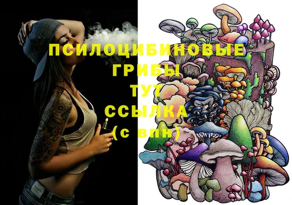 прущие крисы Тында