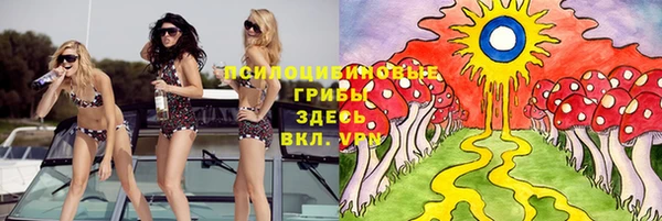 стаф Волосово